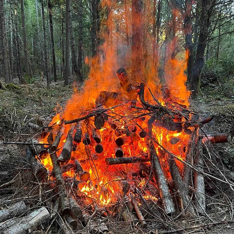 pile burning as a slash treatment