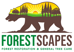 forestscapes llc logo
