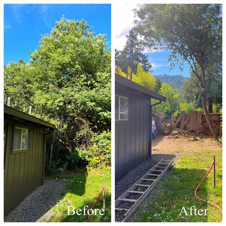 Defensible space before and after - Humboldt County 2023