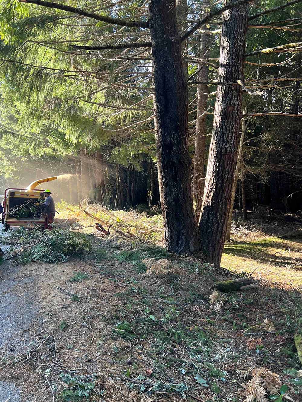 Chipping up on the Bald Hills for Green Diamond and Humboldt County Fire Safe Council.