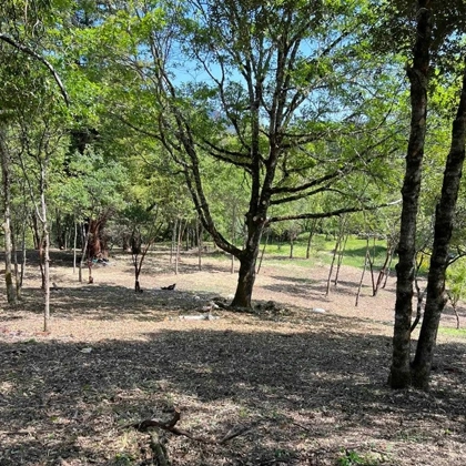 Create A Safer Buffer With Defensible Space In Eureka, Ca