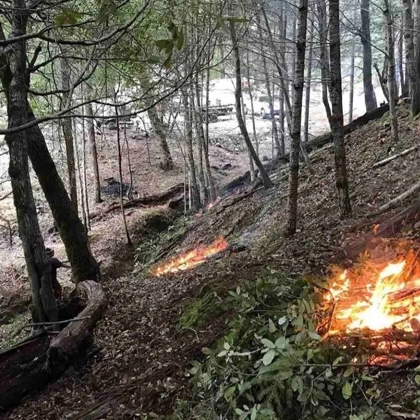 Reduce Fire Risk Through Fire And Fuels Reduction In Eureka, Ca