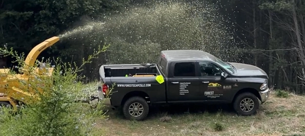 Slash and Brush Treatments