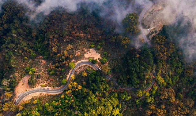 Forestry, Wildfire Mitigation, And Tree Care Services