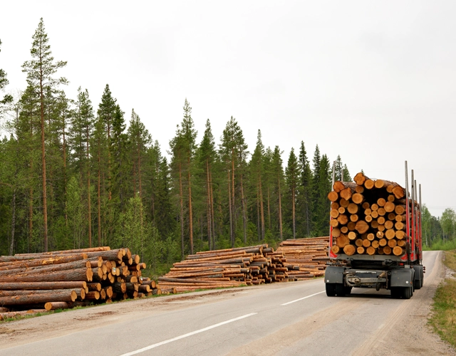 Timber Harvesting