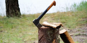 stump grinding vs removal